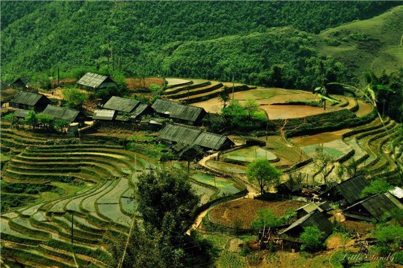 Khach San Sapa Ngay Nay Hotel Eksteriør billede