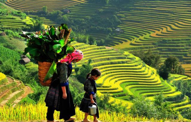 Khach San Sapa Ngay Nay Hotel Eksteriør billede